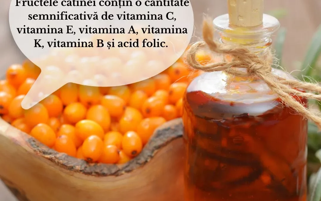 Știai că? Fructele cătinei conțin o cantitate semnificativă de vitamina C, vitamina E, vitamina A, vitamina K, vitamina B și acid folic